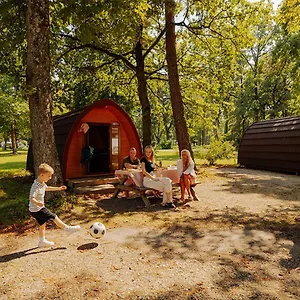 azur-waldcamping-auwaldsee.com-bavaria.com/